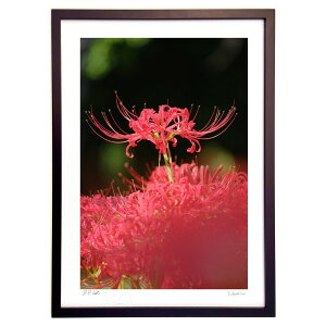 ŉ ؘRƔފ݉ (h)CeA Ǌ| z i |X^[ A[g rO ւɏ  v[g _ A[gt[