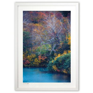 ŉ ΔȋяH (bluewoods07)CeA Ǌ| z i |X^[ A[g rO ւɏ  v[g _ A[gt[