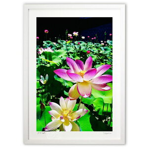 ŉ ₩Ș@̉ (mitan)CeA Ǌ| z i |X^[ A[g rO ւɏ  v[g _ A[gt[