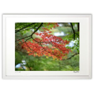 ŉ gt (kaz photo)CeA Ǌ| z i |X^[ A[g rO ւɏ  v[g _ A[gt[