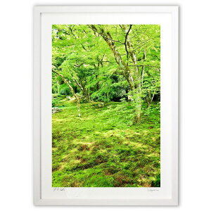 ŉ ߂ (mitan)CeA Ǌ| z i |X^[ A[g rO ւɏ  v[g _ A[gt[