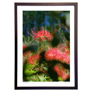 ŉ ؉A̔ފ݉ (h)CeA Ǌ| z i |X^[ A[g rO ւɏ  v[g _ A[gt[