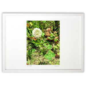 ŉ ʐ^ KɂȂH (masahiko.M)