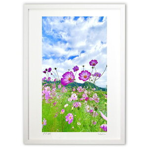 �ŉ� ��� (mitan)�C���e���A �Ǌ|�� �z���� ���i�� �|�X�^�[ �A�[�g ���r���O ���ւɏ��� ���� �v���[���g ���_�� �A�[�g�t���[��