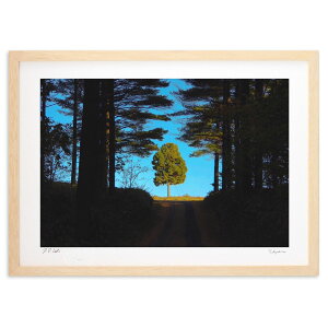 版画 開拓の木 (toshi_hokkaido)インテリア 壁掛け 額入り 風景画 ポスター アート リビング 玄関に飾る 風水 プレゼント モダン アートフレーム
