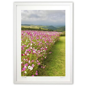 ŉ RXX (mitan)CeA Ǌ| z i |X^[ A[g rO ւɏ  v[g _ A[gt[