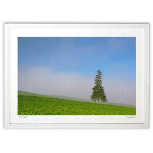 yX[p[SALEzzŉ NX}Xc[̖ (toshi_hokkaido)