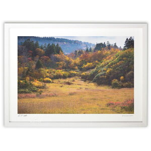 ŉ яH (bluewoods07)CeA Ǌ| z i |X^[ A[g rO ւɏ  v[g _ A[gt[