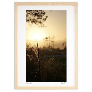 ŉ [ĂXXL (kaz photo)CeA Ǌ| z i |X^[ A[g rO ւɏ  v[g _ A[gt[