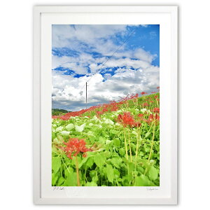 ŉ ފ݉Ԃ炭͐~ (mitan)CeA Ǌ| z i |X^[ A[g rO ւɏ  v[g _ A[gt[