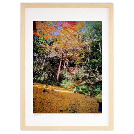 版画 よく来たね (ふじみ)インテリア 壁掛け 額入り 風景画 ポスター アート リビング 玄関に飾る 風水 プレゼント モダン アートフレーム