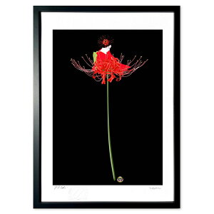 版画 Licoris (白川哲治)インテリア 壁掛け 額入り 風景画 ポスター アート リビング 玄関に飾る 風水 プレゼント モダン アートフレーム