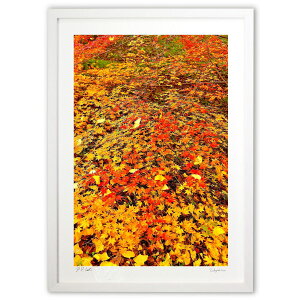 ŉ ɍʐFLȍgt (mitan)CeA Ǌ| z i |X^[ A[g rO ւɏ  v[g _ A[gt[