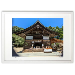 ŉ _ (Naoel81)CeA Ǌ| z i |X^[ A[g rO ւɏ  v[g _ A[gt[