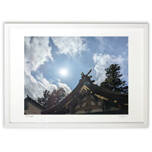 ŉ _{{aƋ (Naoel81)CeA Ǌ| z i |X^[ A[g rO ւɏ  v[g _ A[gt[