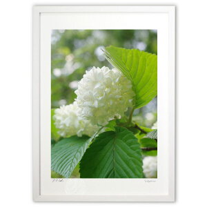 ŉ x (w)CeA Ǌ| z i |X^[ A[g rO ւɏ  v[g _ A[gt[