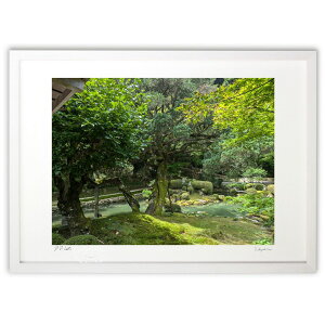 版画 緑 (Naoel81)インテリア 壁掛け 額入り 風景画 ポスター アート リビング 玄関に飾る 風水 プレゼント モダン アートフレーム