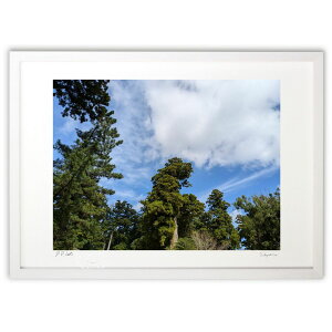 ŉ _{̐ (Naoel81)CeA Ǌ| z i |X^[ A[g rO ւɏ  v[g _ A[gt[