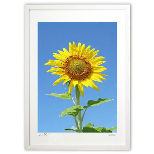 ŉ Ђ܂ (w)CeA Ǌ| z i |X^[ A[g rO ւɏ  v[g _ A[gt[