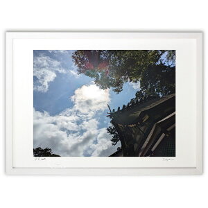 ŉ _{{a̋ (Naoel81)CeA Ǌ| z i |X^[ A[g rO ւɏ  v[g _ A[gt[