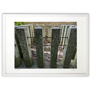 ŉ v (Naoel81)CeA Ǌ| z i |X^[ A[g rO ւɏ  v[g _ A[gt[