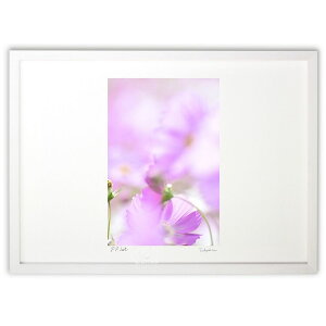 ŉ sÑRXX (mitan)CeA Ǌ| z i |X^[ A[g rO ւɏ  v[g _ A[gt[