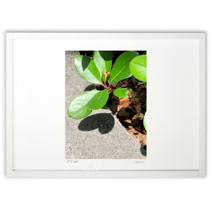 ŉ ʐ^ tς̗ n[g (masahiko.M)