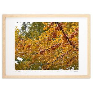 版画 ぎんなん (スノーバニラ)インテリア 壁掛け 額入り 風景画 ポスター アート リビング 玄関に飾る 風水 プレゼント モダン アートフレーム