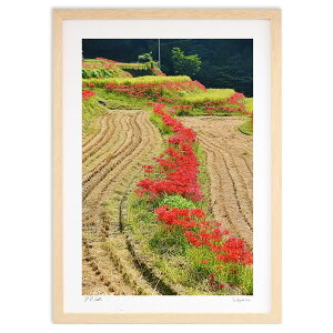 yX[p[SALEzzŉ Ȃɍ炭ފ݉ (mitan)CeA Ǌ| z i |X^[ A[g rO ւɏ  v[g _ A[gt[