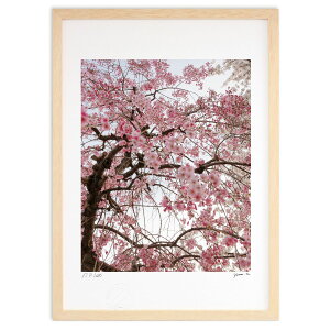 ŉ  (yunomi)CeA Ǌ| z i |X^[ A[g rO ւɏ  v[g _ A[gt[