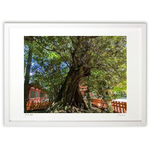 ŉ _ (Naoel81)CeA Ǌ| z i |X^[ A[g rO ւɏ  v[g _ A[gt[