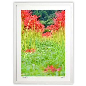 yX[p[SALEzzŉ ފ݉Ԃ̓ (mitan)CeA Ǌ| z i |X^[ A[g rO ւɏ  v[g _ A[gt[