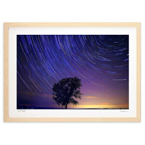 ŉ Nw̖ (toshi_hokkaido) CeA Ǌ| z i |X^[ A[g rO ւɏ  v[g _