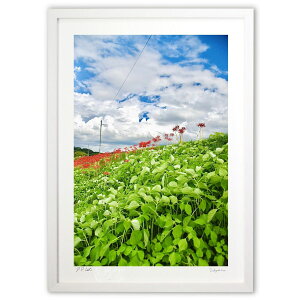 ŉ ފ݉Ԃ炭͐~ (mitan)CeA Ǌ| z i |X^[ A[g rO ւɏ  v[g _ A[gt[