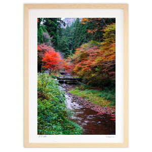 ŉ H̕i (SHIROIRO)CeA Ǌ| z i |X^[ A[g rO ւɏ  v[g _ A[gt[