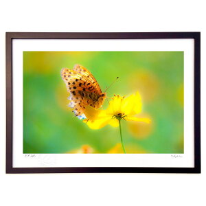 ŉ ic}OqEjƃRXX (쌛)