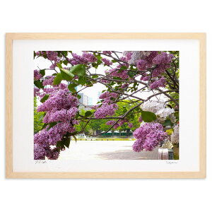 ŉ ZZ[V (Xm[oj)CeA Ǌ| z i |X^[ A[g rO ւɏ  v[g _ A[gt[