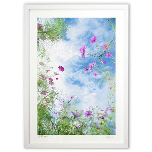 ŉ Ɋt (mitan) CeA Ǌ| z i |X^[ A[g rO ւɏ  v[g _