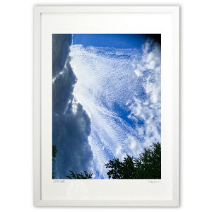 ŉ P_V[ (SHIROIRO)CeA Ǌ| z i |X^[ A[g rO ւɏ  v[g _ A[gt[