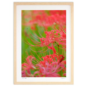 ŉ ފ݉ (h) CeA Ǌ| z i |X^[ A[g rO ւɏ  v[g _