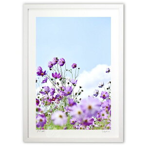 ŉ VnH (mitan)CeA Ǌ| z i |X^[ A[g rO ւɏ  v[g _ A[gt[