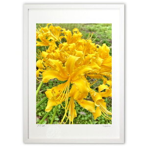 ŉ S[fފ݃t[ (mitan)CeA Ǌ| z i |X^[ A[g rO ւɏ  v[g _ A[gt[