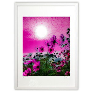 ŉ sNF̐E (SHIROIRO)CeA Ǌ| z i |X^[ A[g rO ւɏ  v[g _ A[gt[