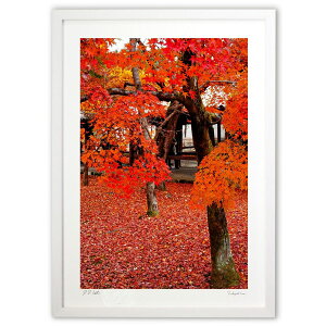 ŉ gtŎɐ܂ (SHIROIRO)CeA Ǌ| z i |X^[ A[g rO ւɏ  v[g _ A[gt[