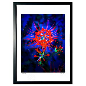 ŉ Ō@H̉ԉ (쌛)CeA Ǌ| z i |X^[ A[g rO ւɏ  v[g _ A[gt[