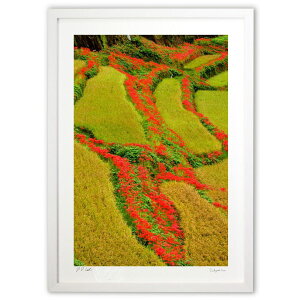 ŉ Ic֎ꍹ؂ʂV̌b ()CeA Ǌ| z i |X^[ A[g rO ւɏ  v[g _ A[gt[