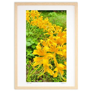 ŉ F̔ފ݉ (mitan)CeA Ǌ| z i |X^[ A[g rO ւɏ  v[g _ A[gt[