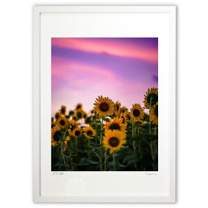 ŉ Ђ܂̑Ǝ (SHIROIRO)CeA Ǌ| z i |X^[ A[g rO ւɏ  v[g _ A[gt[