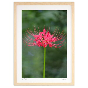 ŉ ފ݉Ԉ (h)CeA Ǌ| z i |X^[ A[g rO ւɏ  v[g _ A[gt[