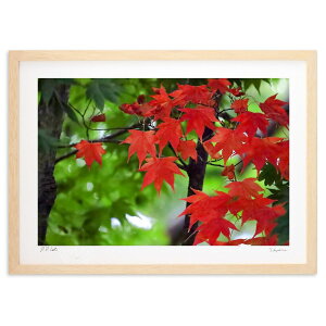 ŉ ȏH (RUI)CeA Ǌ| z i |X^[ A[g rO ւɏ  v[g _ A[gt[